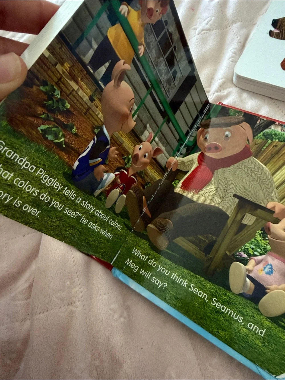The Tale of Peter Rabbit Board Books bundle - brown bear- colors